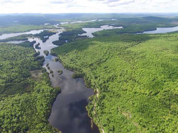 Un territoire de forêt et de lacs!